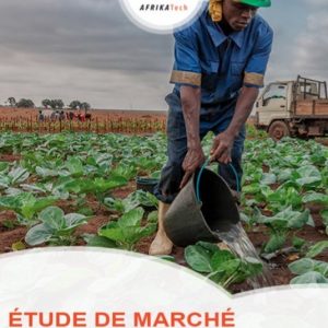 Etude de marché secteur Agrobusiness au Mali