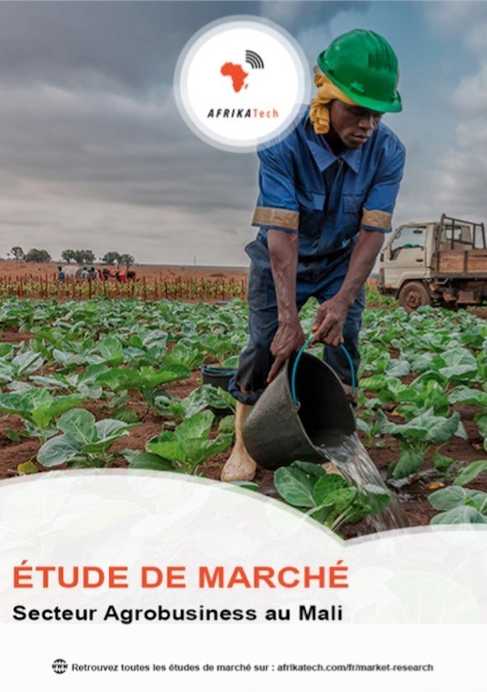 Etude de marché secteur Agrobusiness au Mali