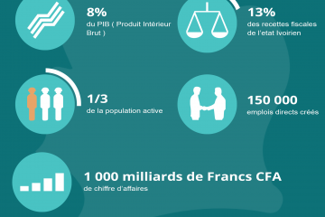 Facteurs développemet numérique