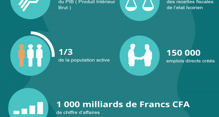 Facteurs développemet numérique