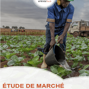 Etude de marché sur le secteur Agrobusiness en Côte d'Ivoire