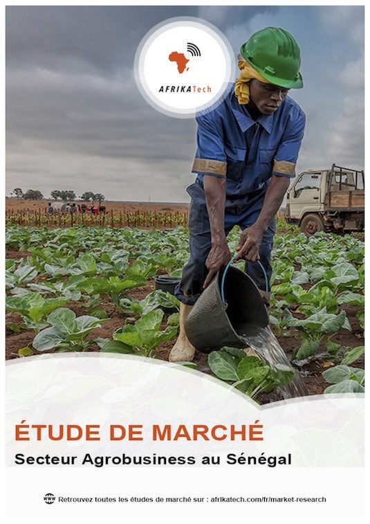 AfrikaTech - Etude de marché Secteur Agrobusiness au Sénégal