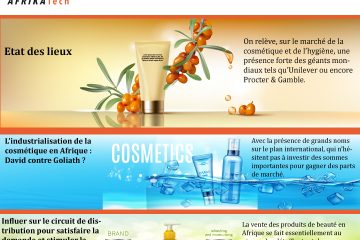 Les secteurs à industrialiser en Afrique : Le secteur de la cosmétique