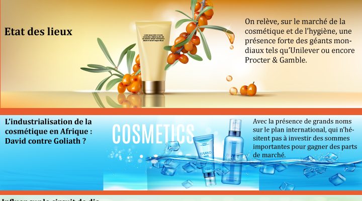 Les secteurs à industrialiser en Afrique : Le secteur de la cosmétique