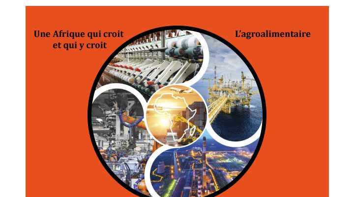 Quels secteurs d’activités industrialiser en priorité en Afrique ?