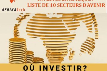 INVESTIR EN AFRIQUE : LISTE DE 10 SECTEURS D’AVENIR