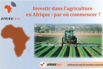 Investir dans l’agriculture en Afrique : par où commencer ?