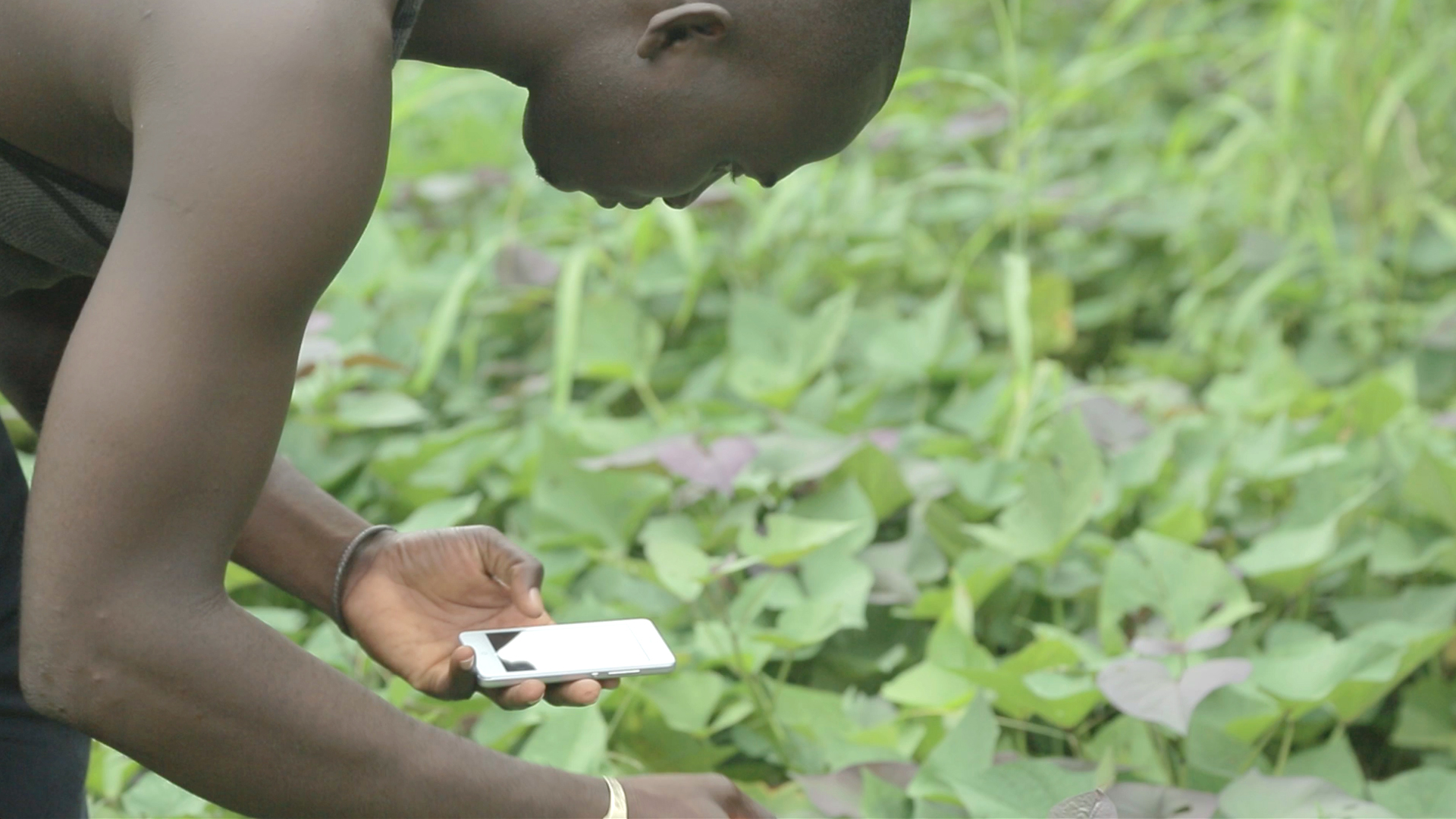 TIC et agriculture la symbiose parfaite pour l’émergence de l Afrique